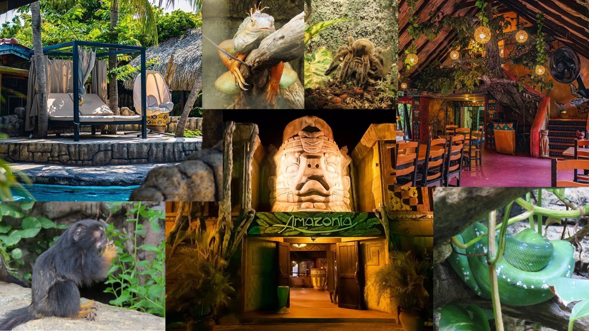 Amazonia