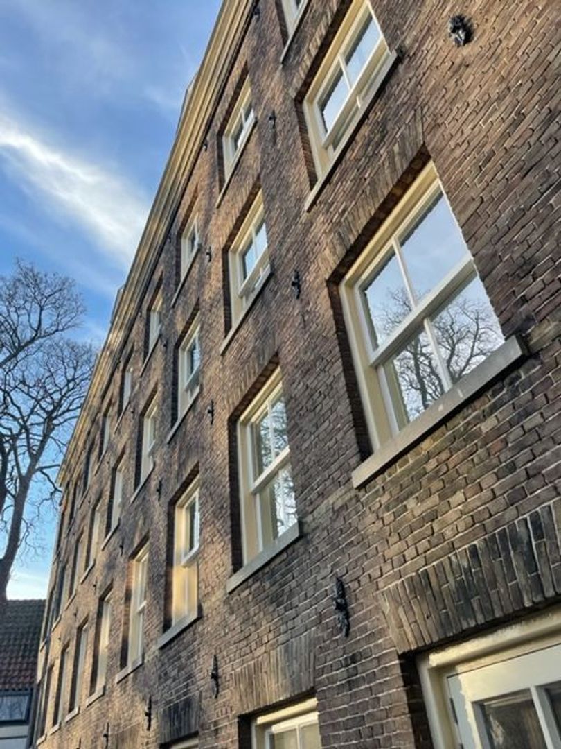 'the backyard 46' Haarlem, Haarlem