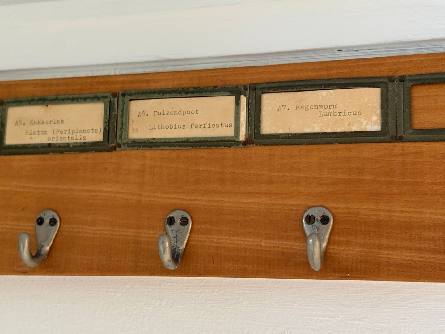 Planetenlaan, Haarlem foto-153