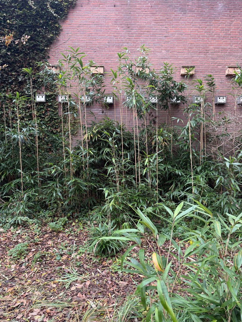 Planetenlaan, Haarlem foto-13