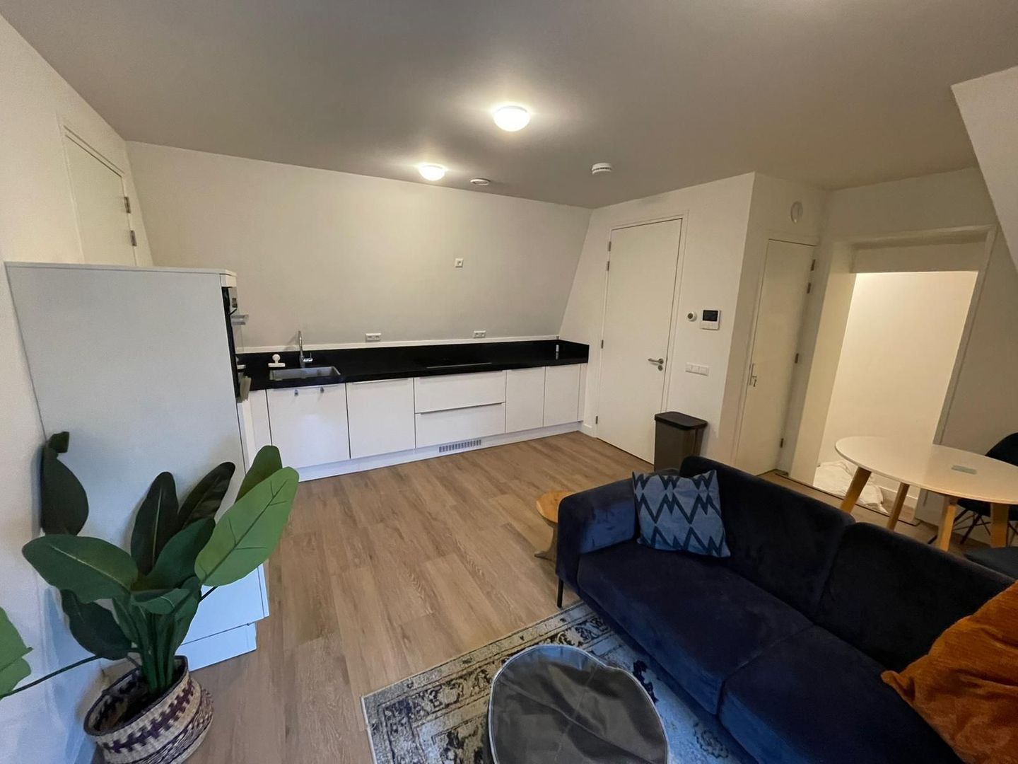 Tempeliersstraat 101, Haarlem foto-4