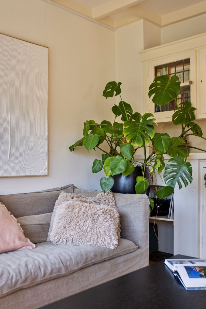 Tuinwijklaan 24, Haarlem foto-6 blur