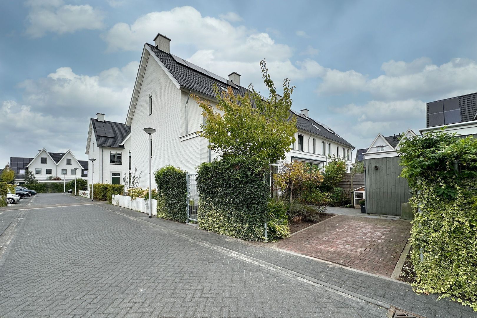 Hinderdampad 7, Weesp foto-19 blur