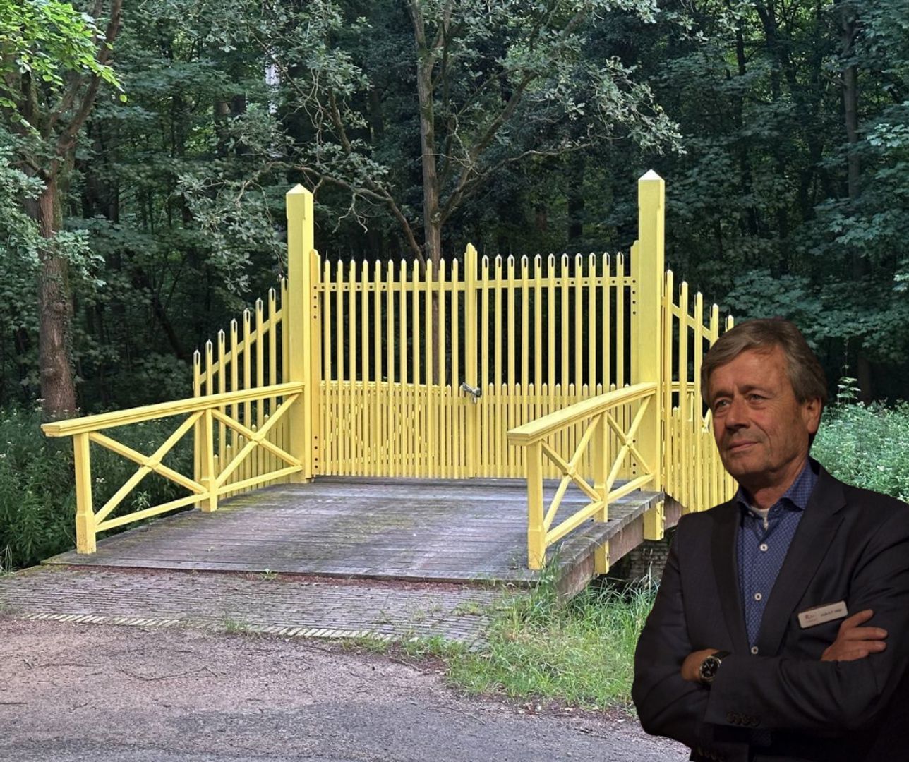 Het Gele Geheim van Elswout