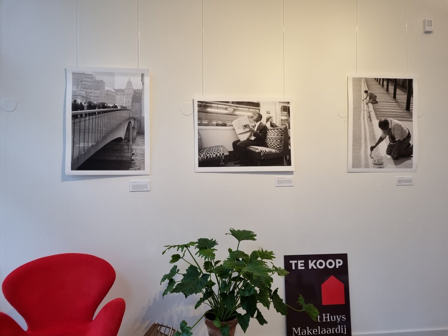 Expositie bij ons op kantoor van fotograaf Lydia van der Meer 