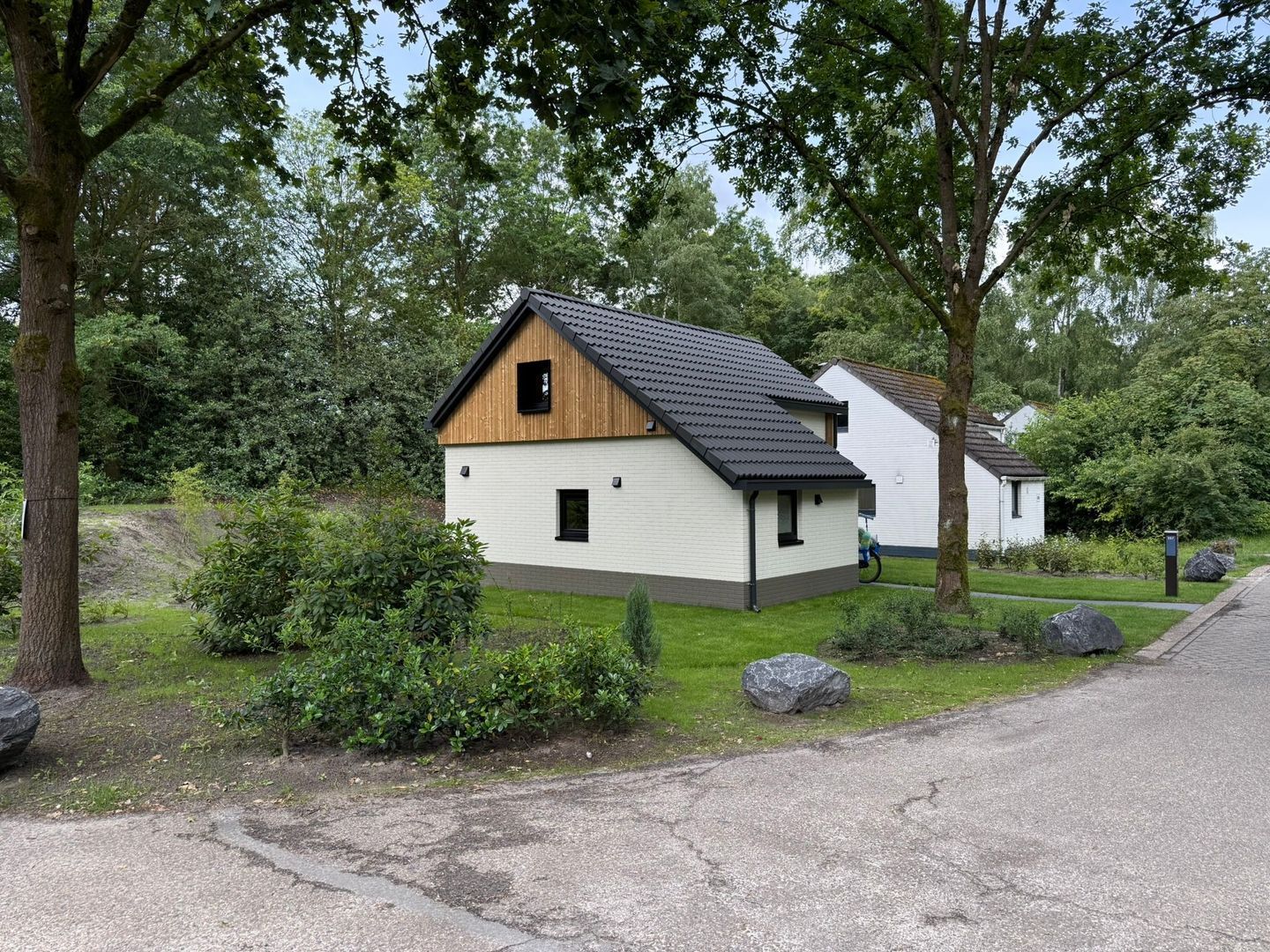 , Mol foto-5