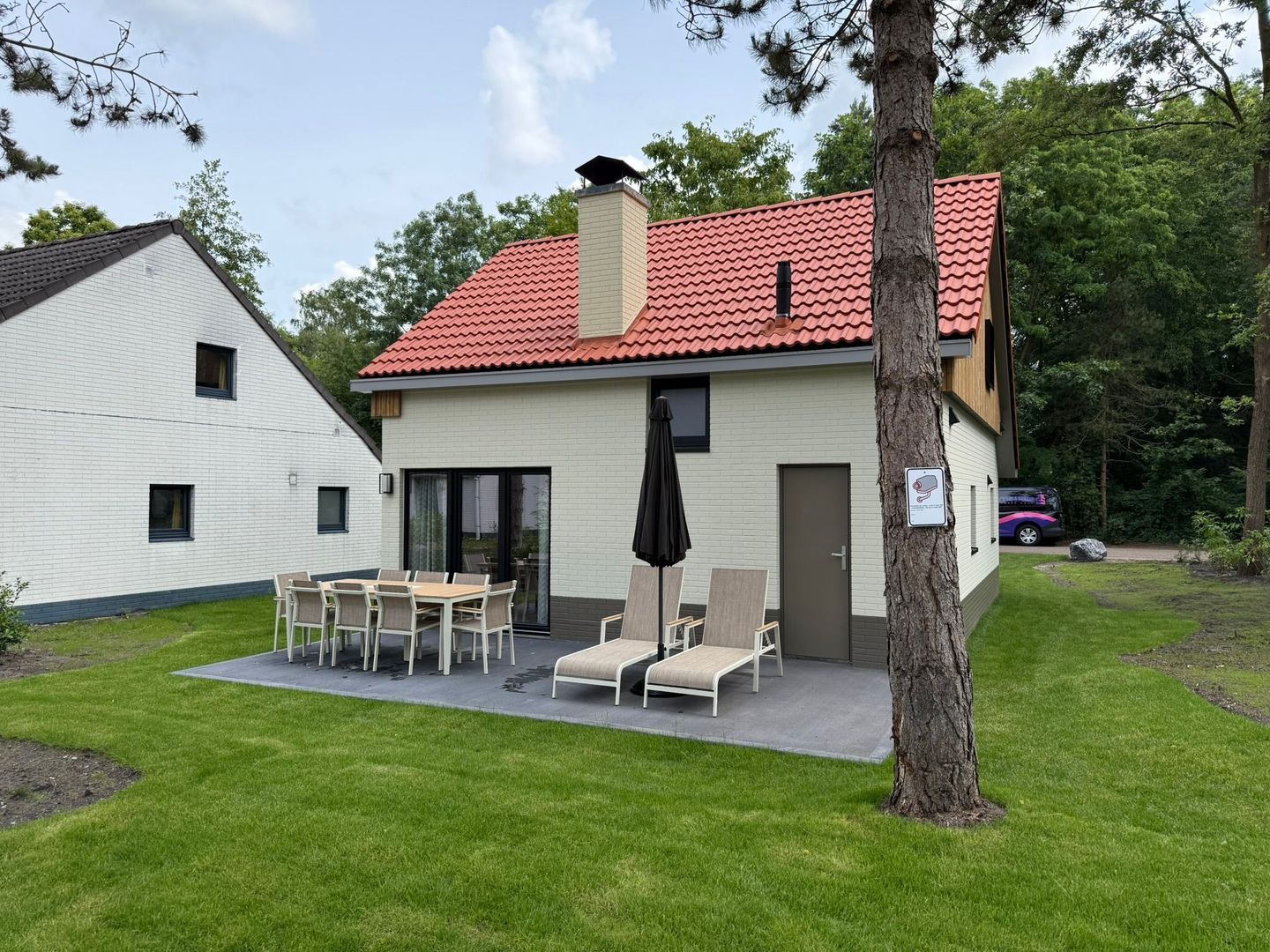 , Mol foto-6