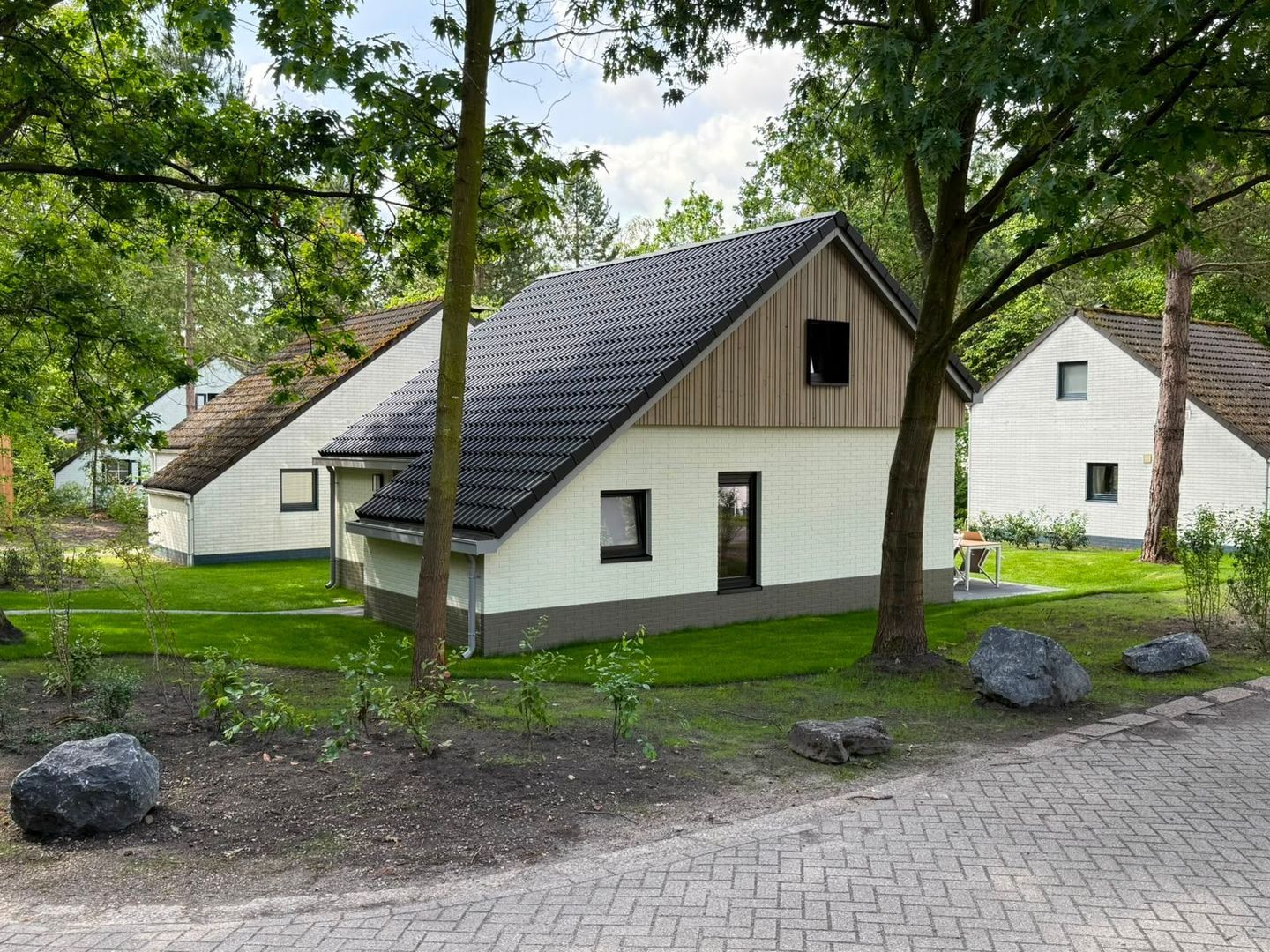 , Mol foto-11