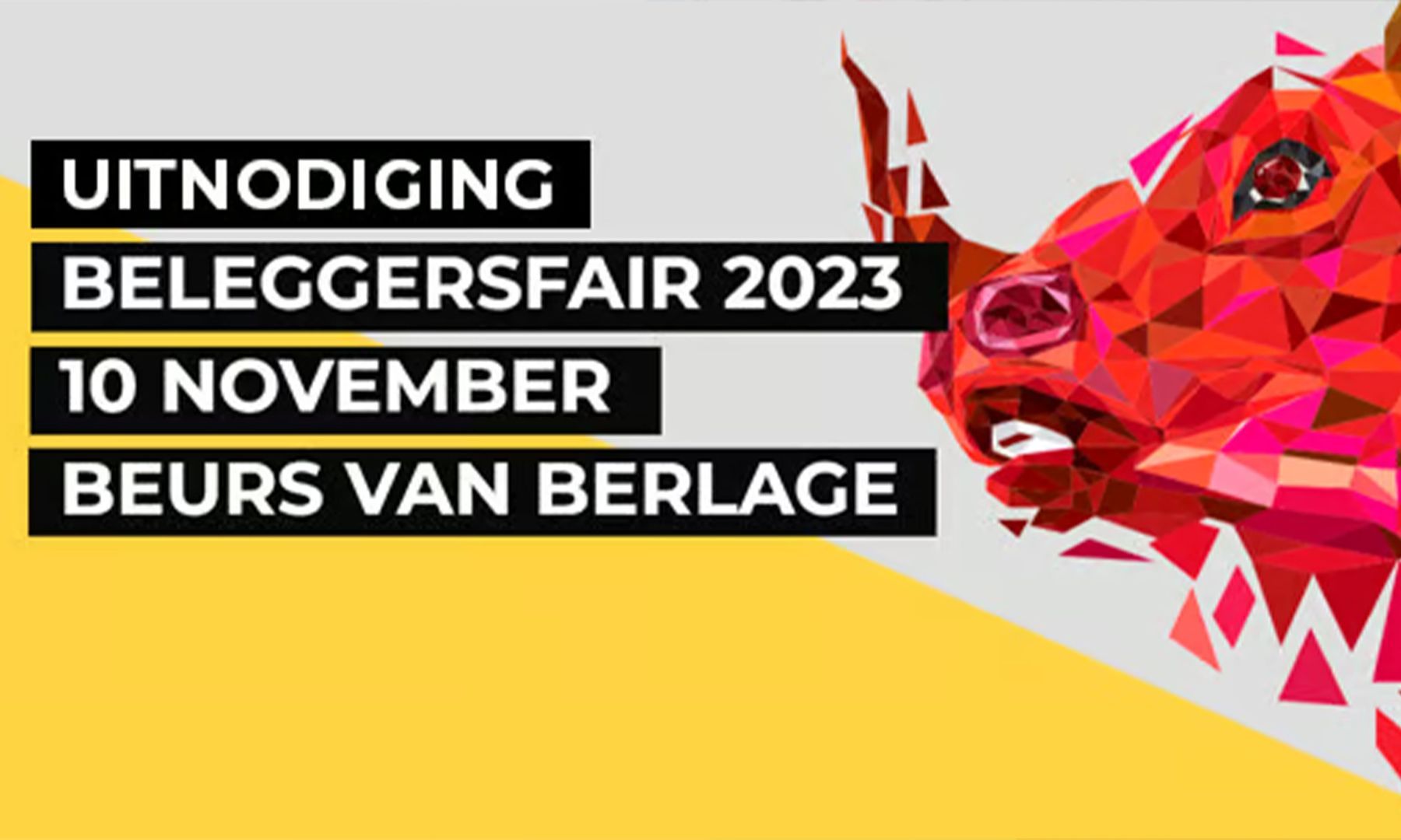 Kom langs tijdens de Beleggersfair 10 november a.s.!