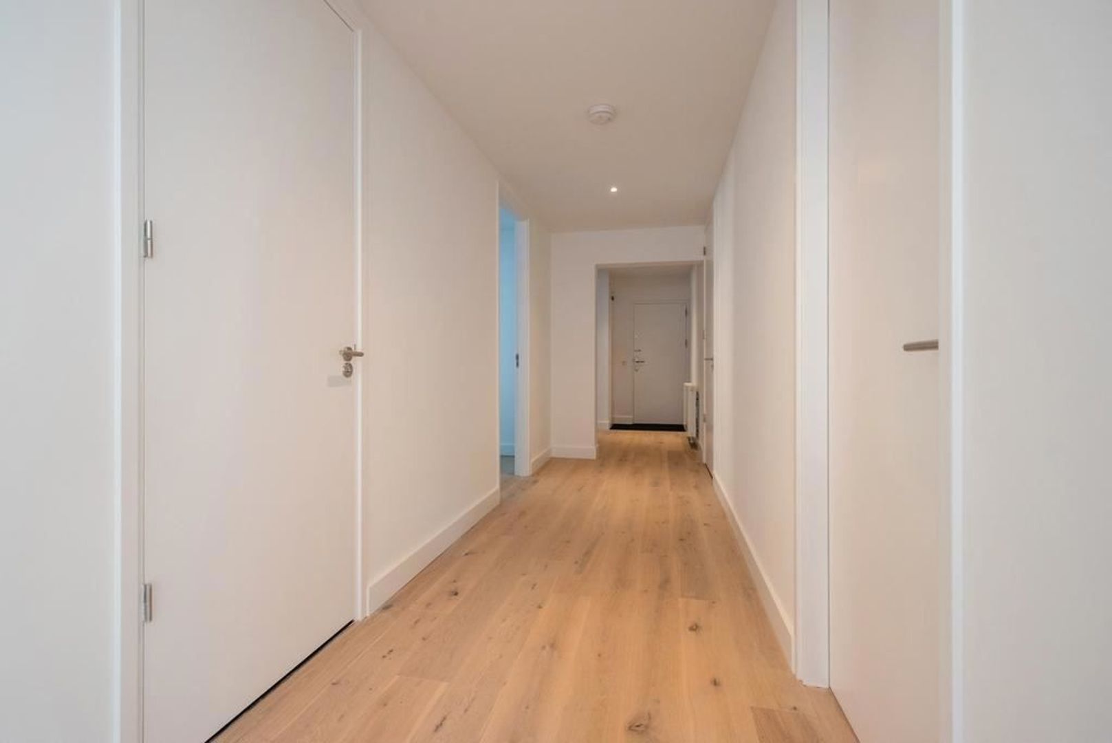 Rusthoekstraat 6, Den Haag foto-1