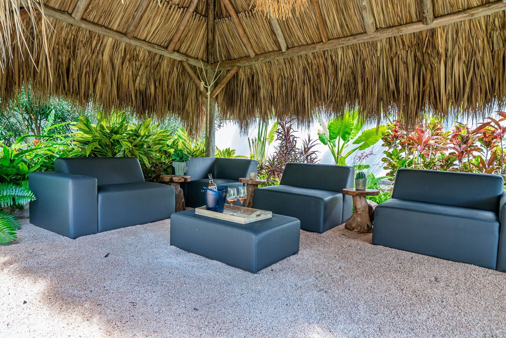 Vista Royal, Jan Thiel foto-33