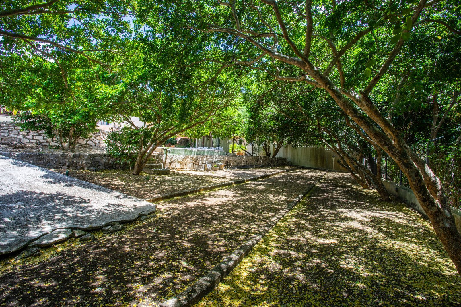 Kintjanweg 3, Curacao foto-26