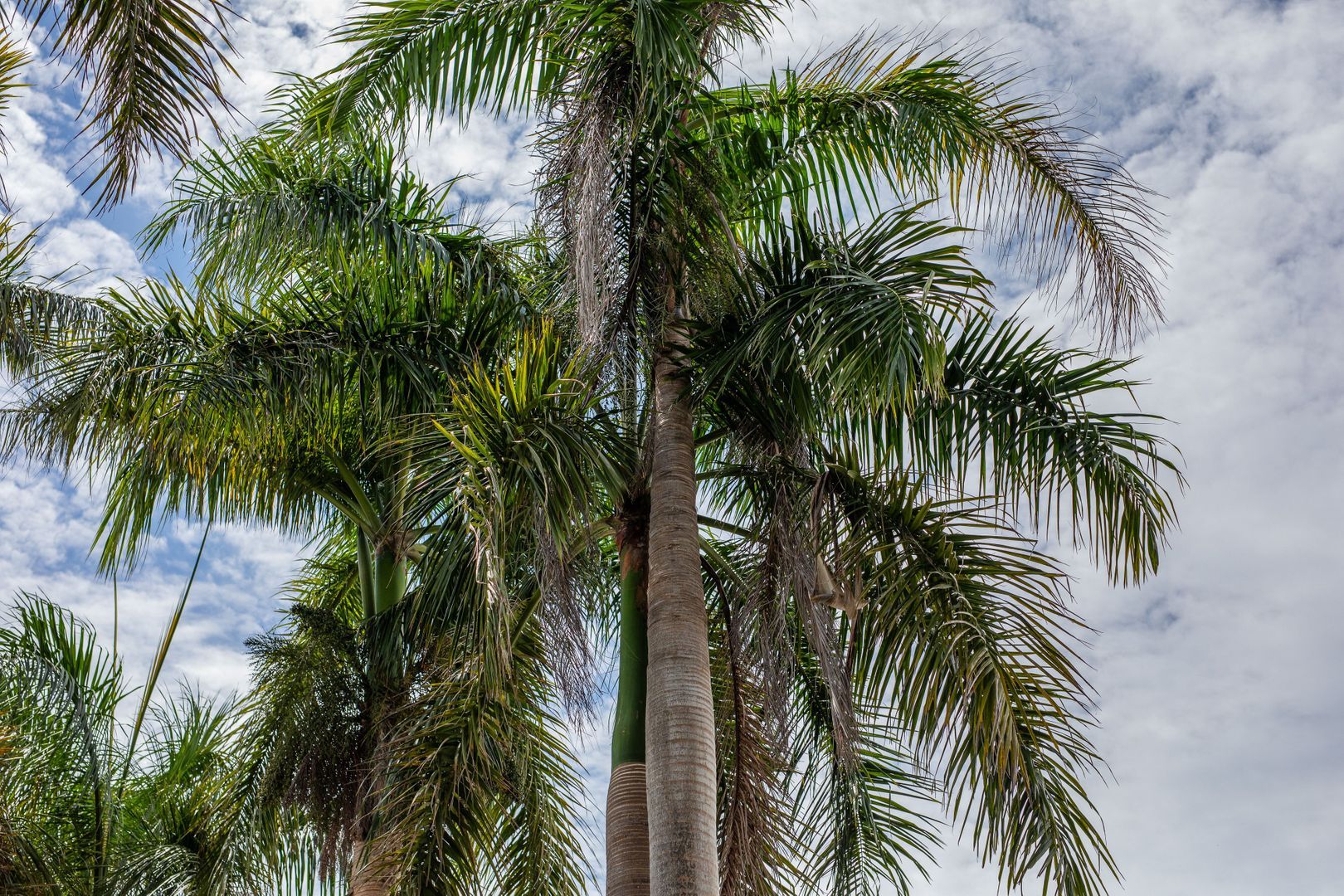 Bernhardlaan 7, Emmastad foto-56