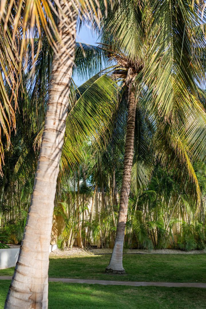 Kaya Themis 15, Van Engelen foto-62