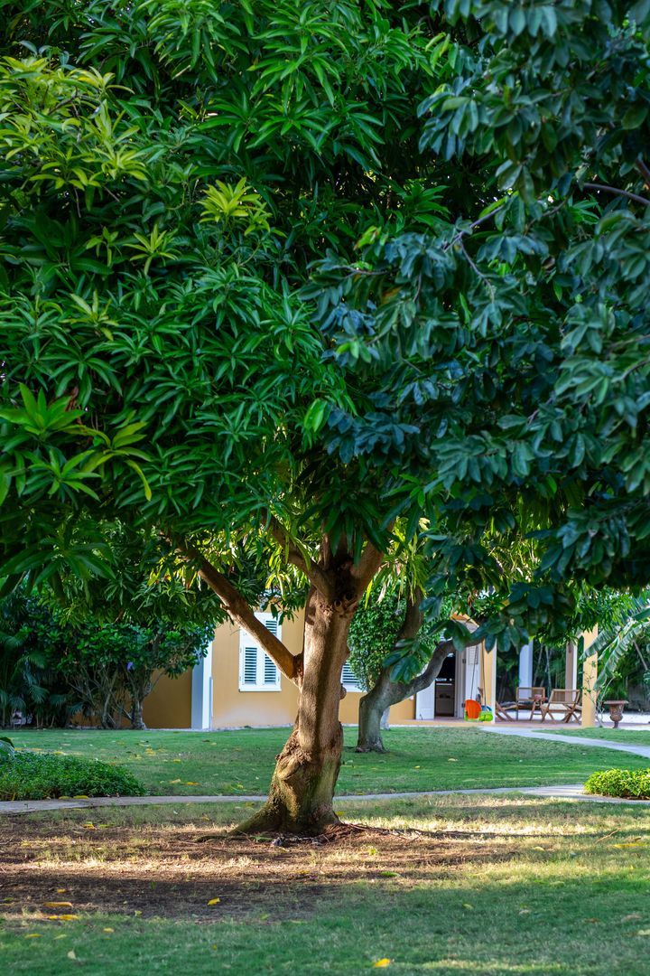 Kaya Themis 15, Van Engelen foto-72