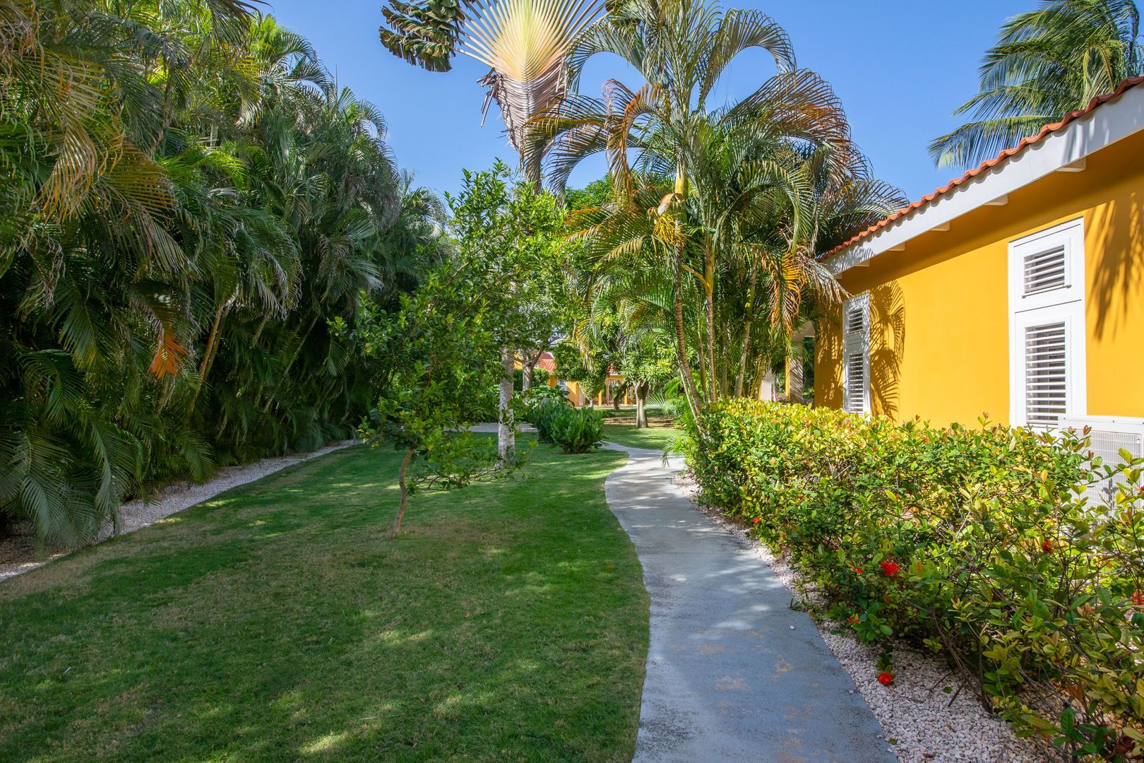 Kaya Themis 15, Van Engelen foto-8