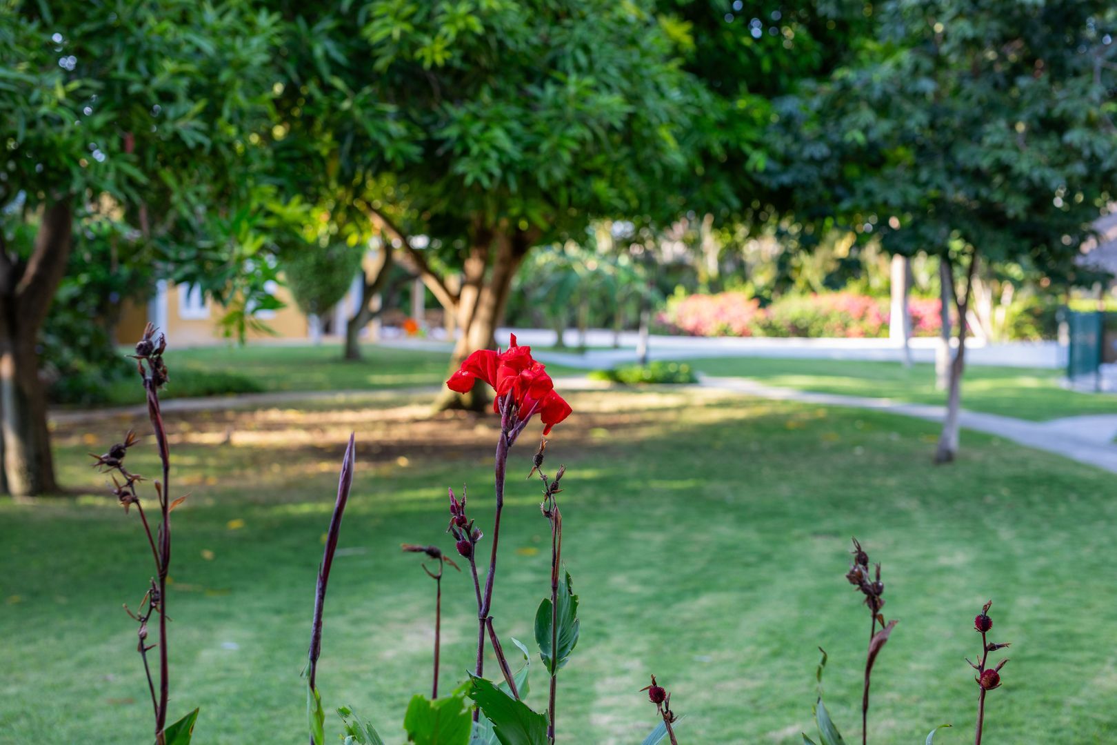 Kaya Themis 15, Van Engelen foto-55