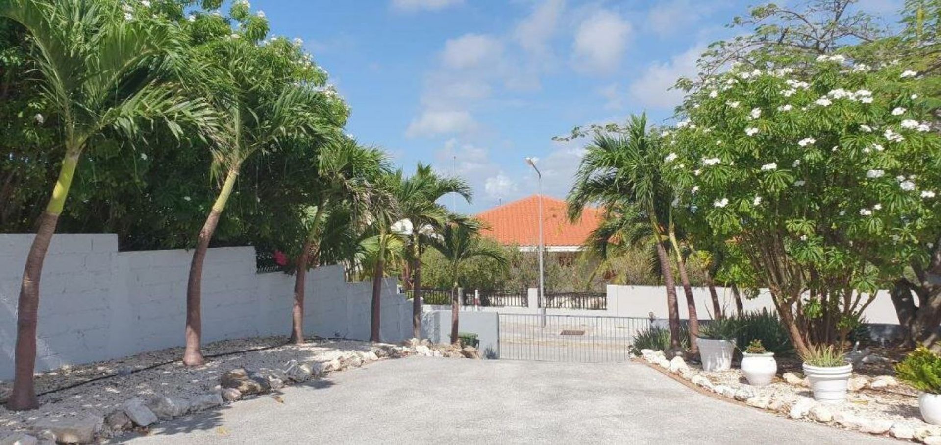 Kaya Pasifiko, Vista Royal foto-6