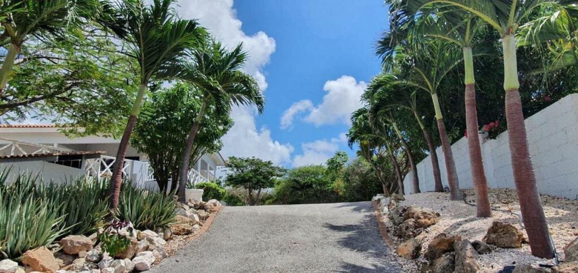 Kaya Pasifiko, Vista Royal foto-8