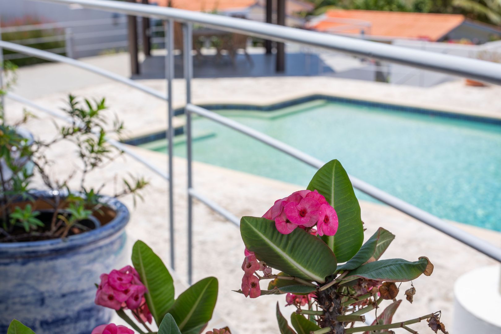 Kaya Papilon 12, Jan Thiel foto-59