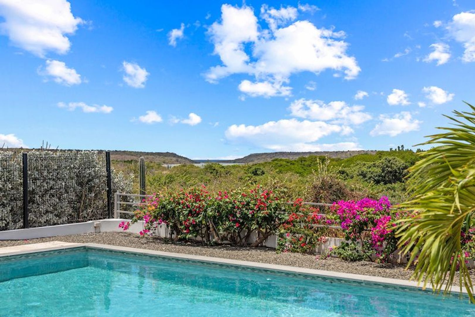 Kaya Silvaner 10, Jan Thiel foto-24