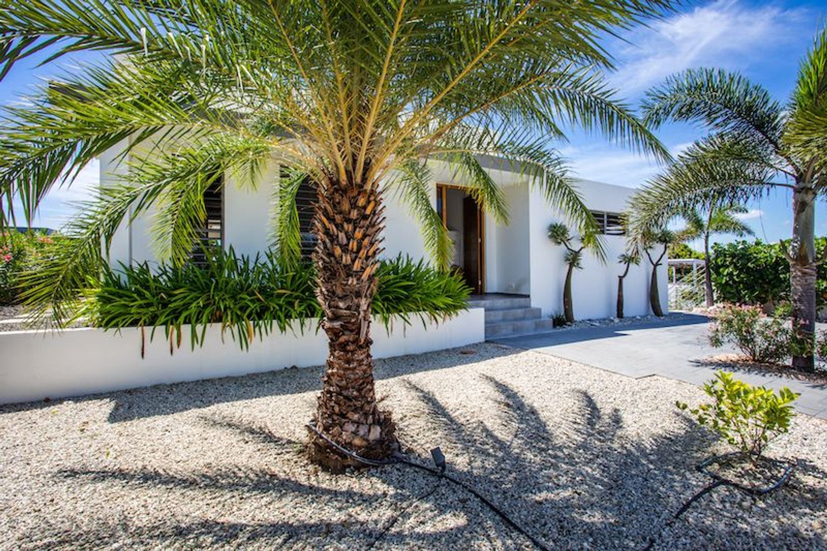 Kaya Silvaner 10, Jan Thiel foto-2