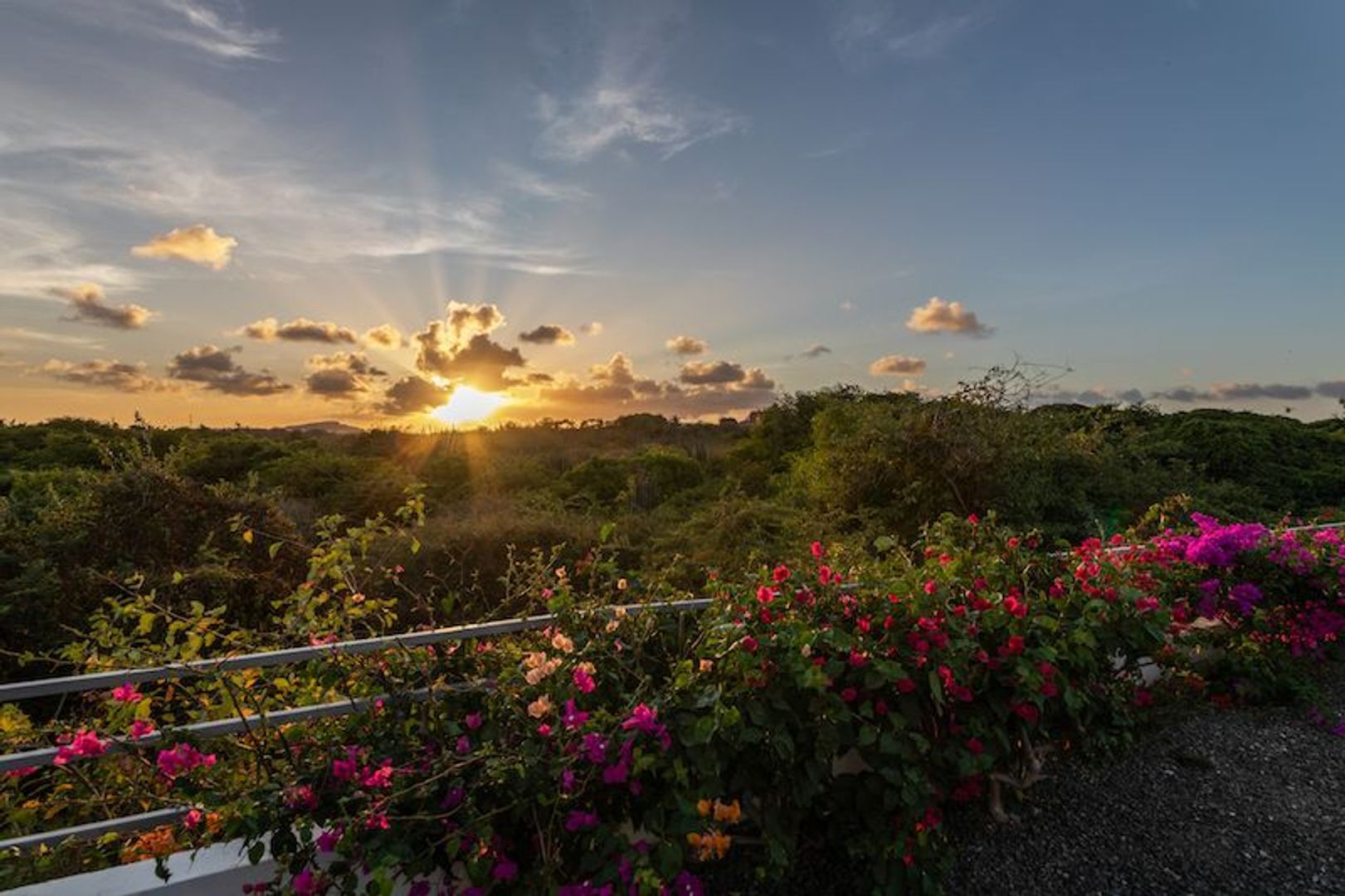 Kaya Silvaner 10, Jan Thiel foto-77