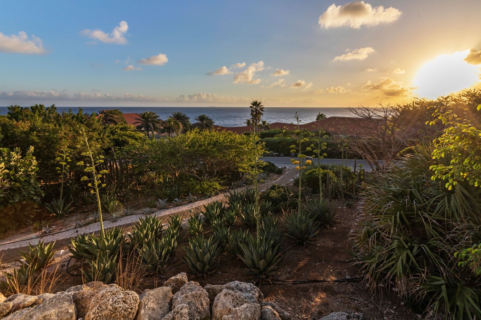 Boca Gentil Bayside 10, Vista Royal foto-12