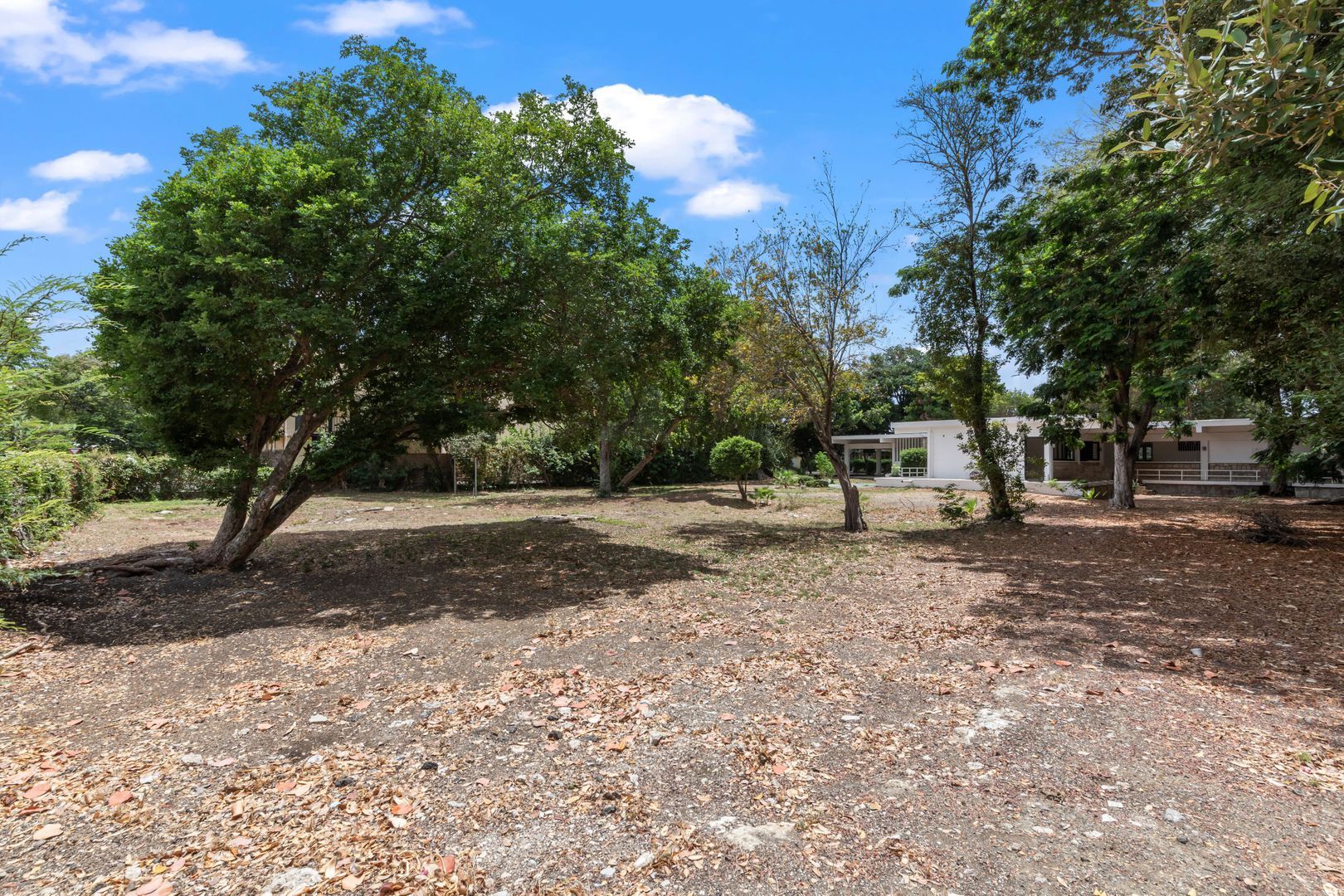 Rozenweg 6, Mahaai foto-38