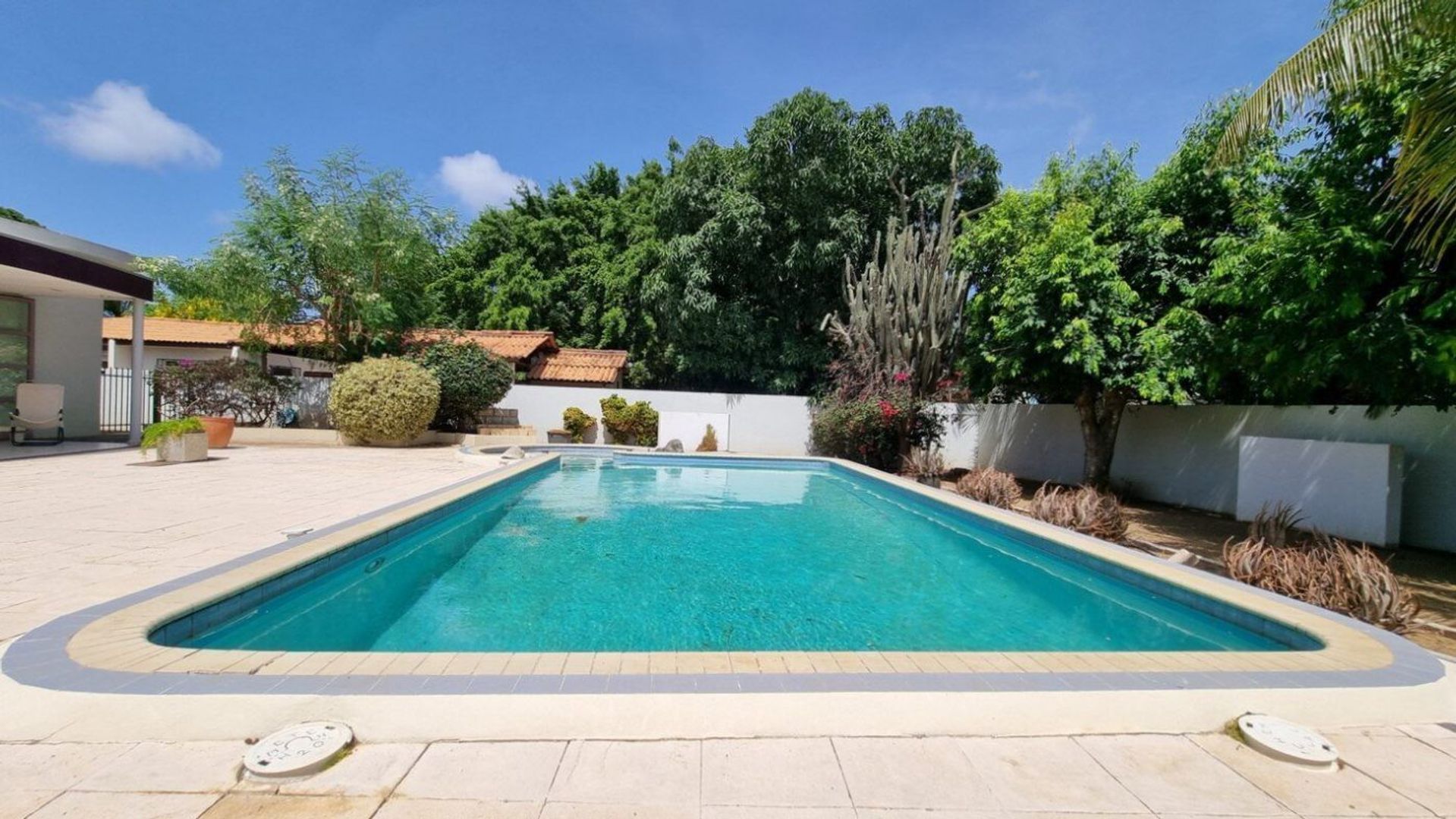 Kaya Rooi Katochi 37, Rooi Catootje foto-2