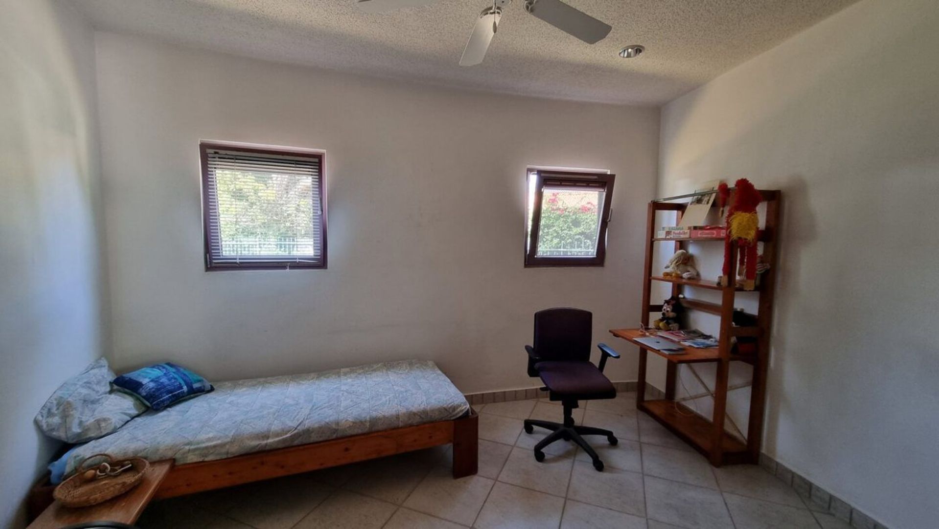 Kaya Rooi Katochi 37, Rooi Catootje foto-13