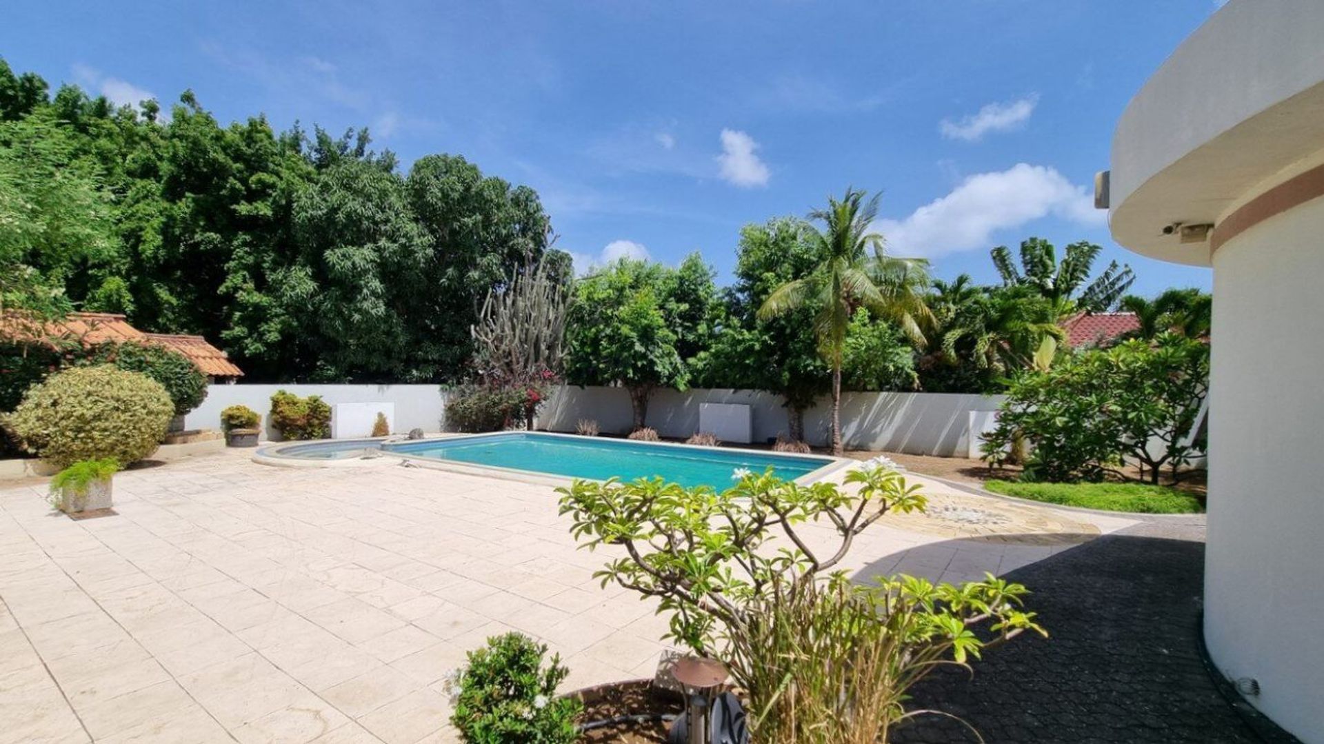 Kaya Rooi Katochi 37, Rooi Catootje foto-3