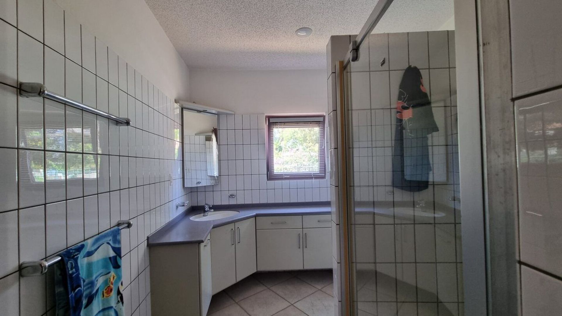 Kaya Rooi Katochi 37, Rooi Catootje foto-14