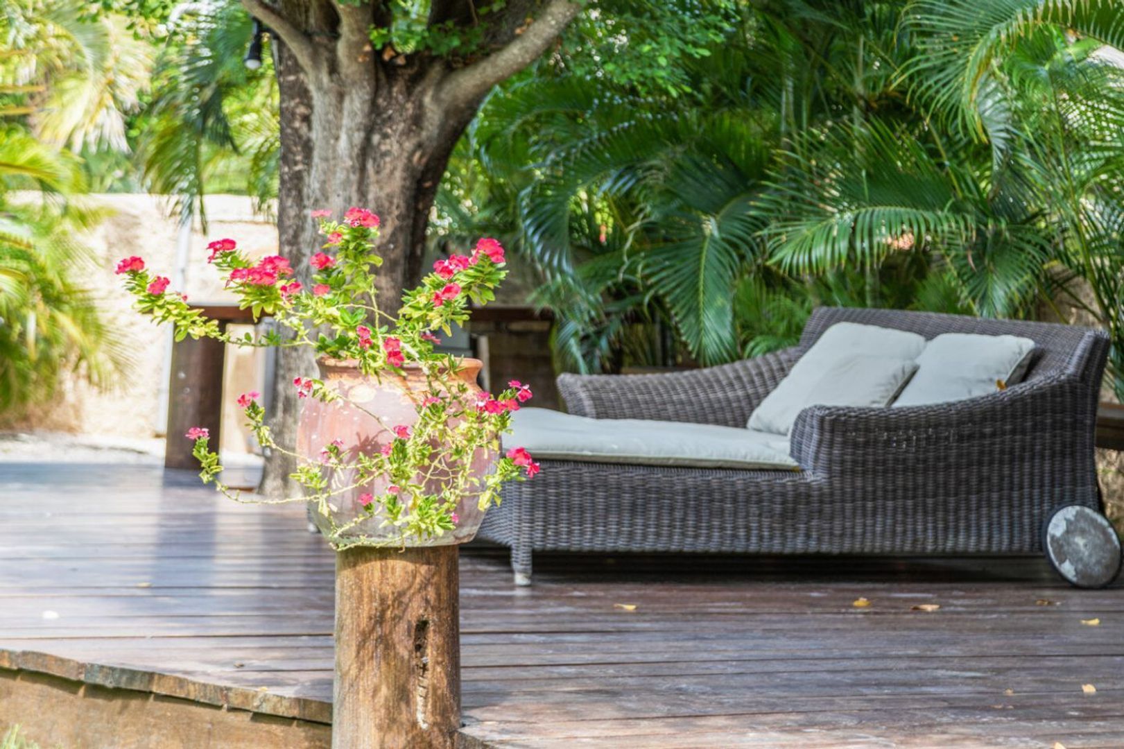 Joonchi 12, Joonchi foto-35