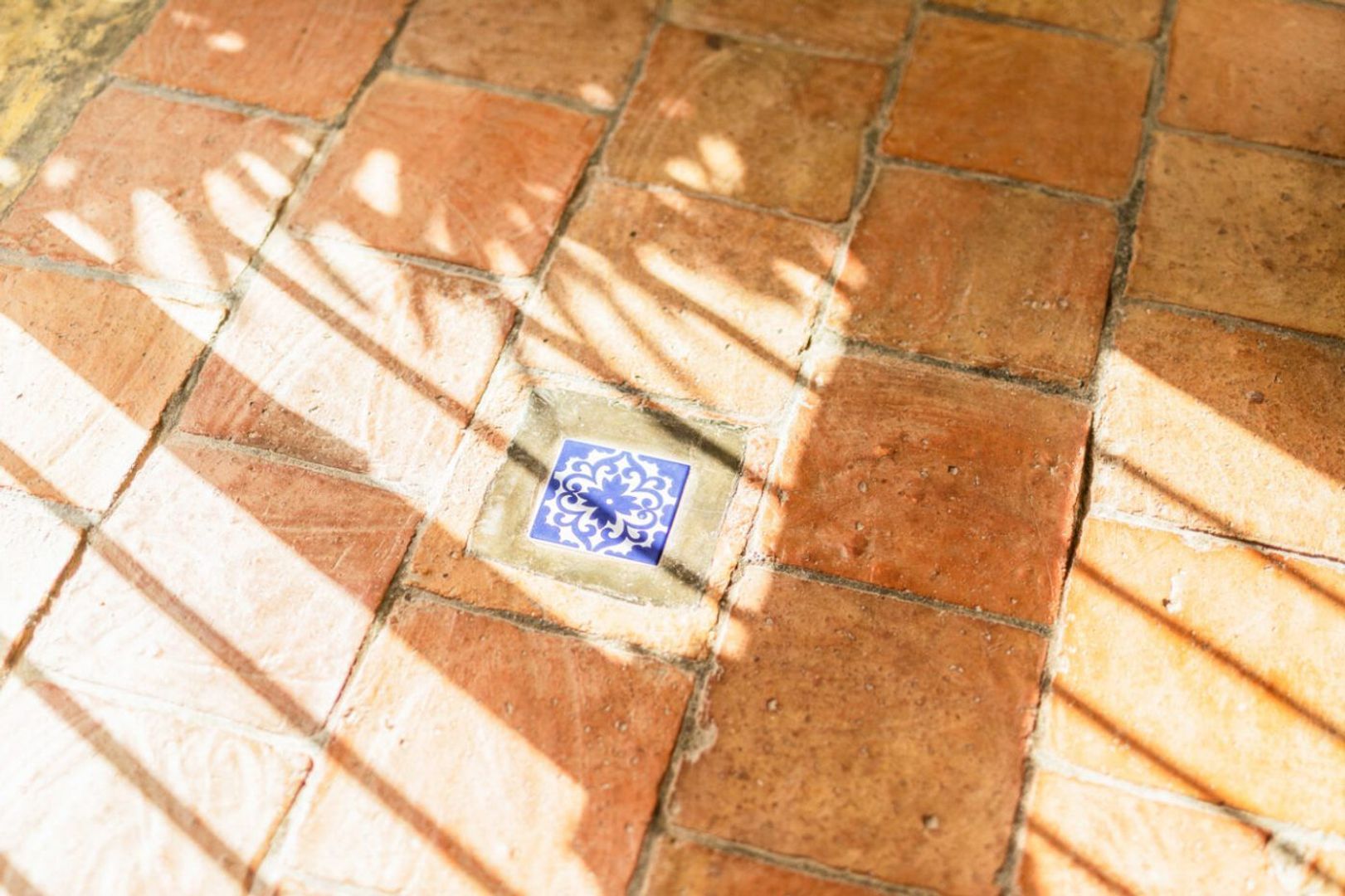 Joonchi 12, Joonchi foto-37