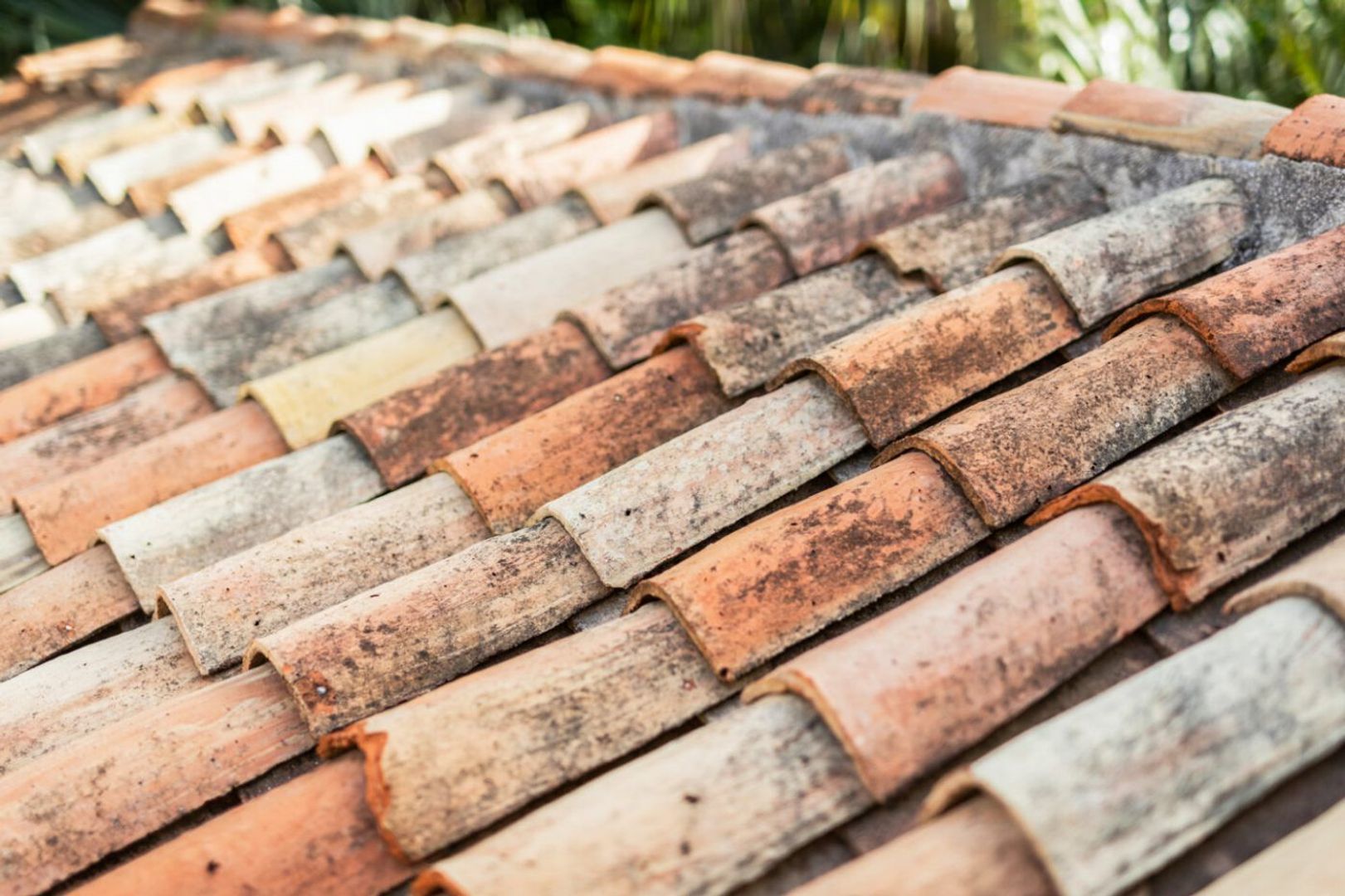 Joonchi 12, Joonchi foto-55