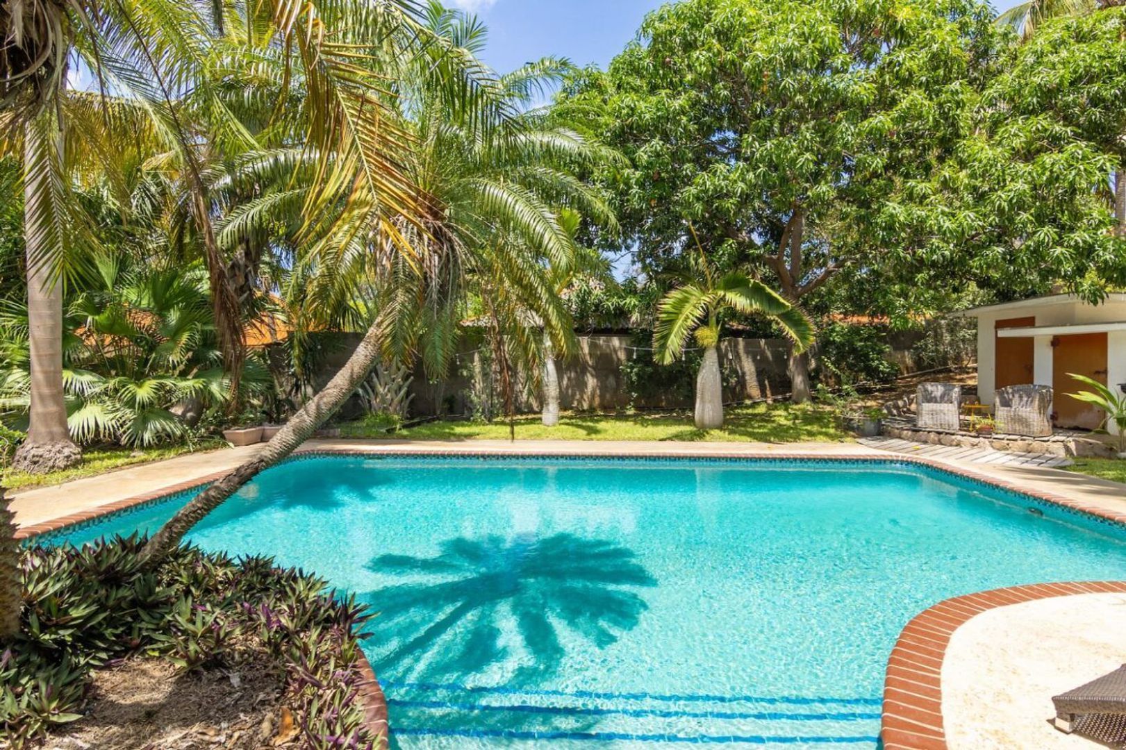 Damweg, Julianadorp foto-14