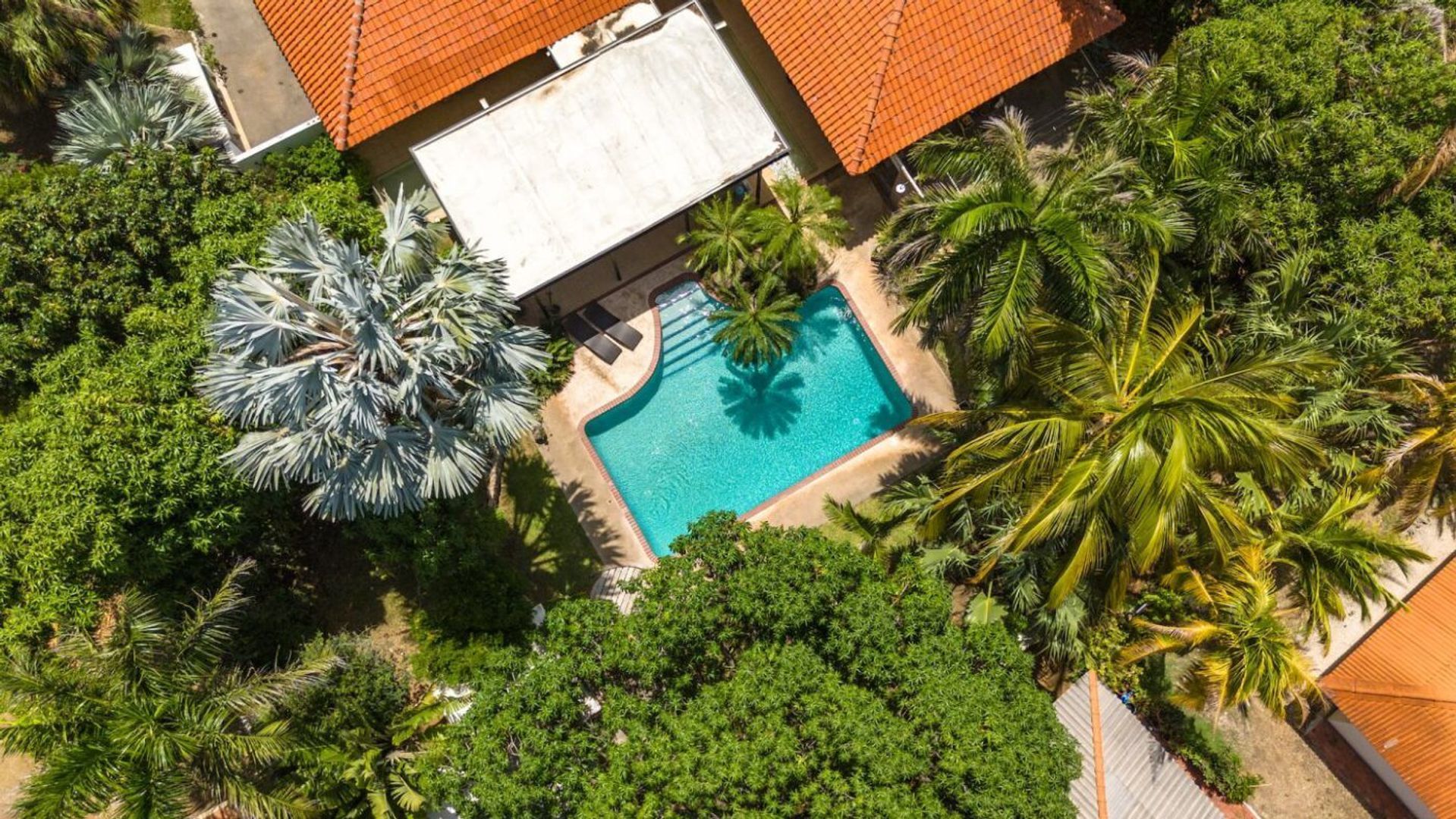 Damweg, Julianadorp foto-24