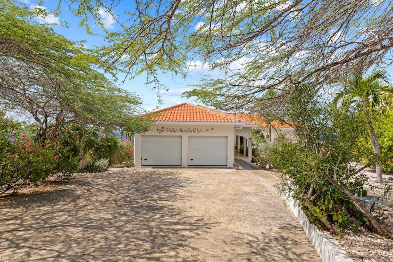 Cas Abou 43, Cas Abou foto-4