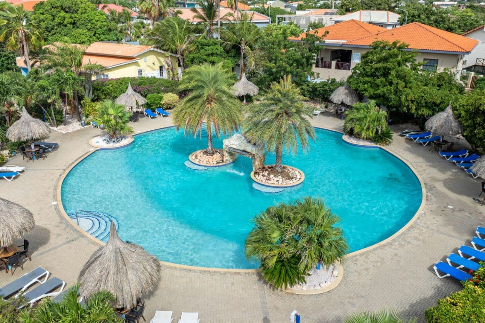 Seru Coral Rood, Koraal partier foto-5