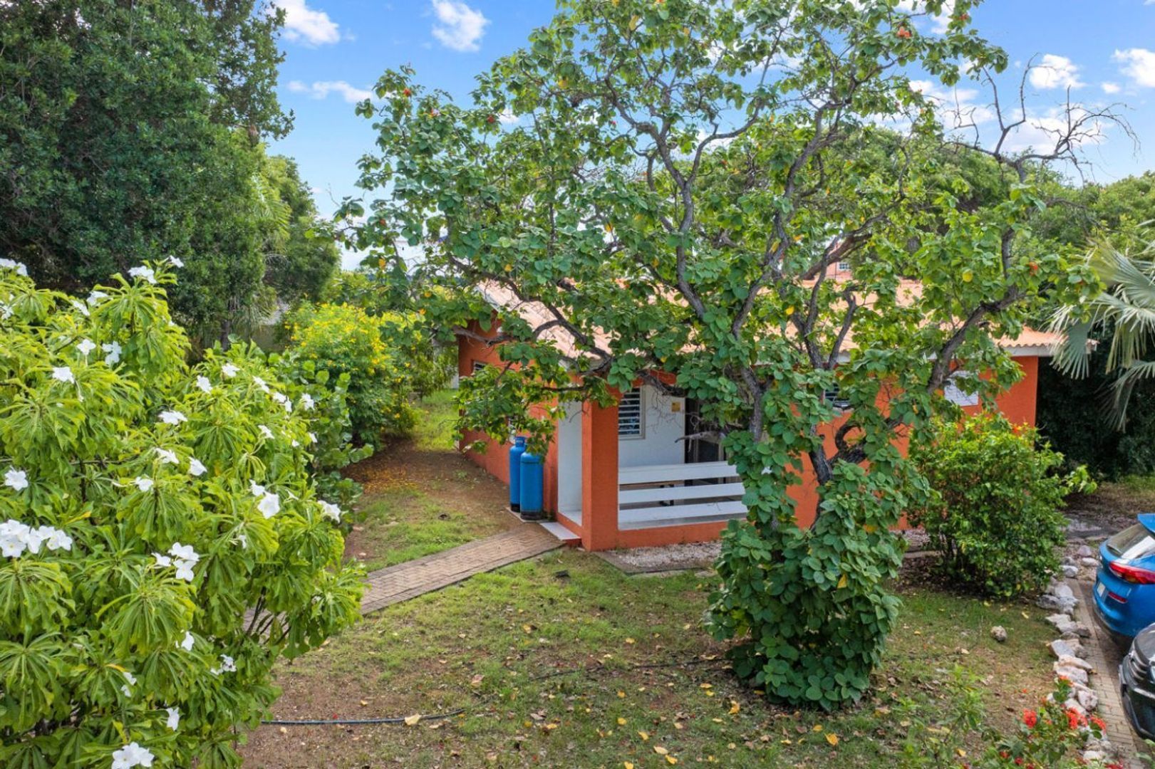 Seru Coral Rood, Koraal partier foto-27