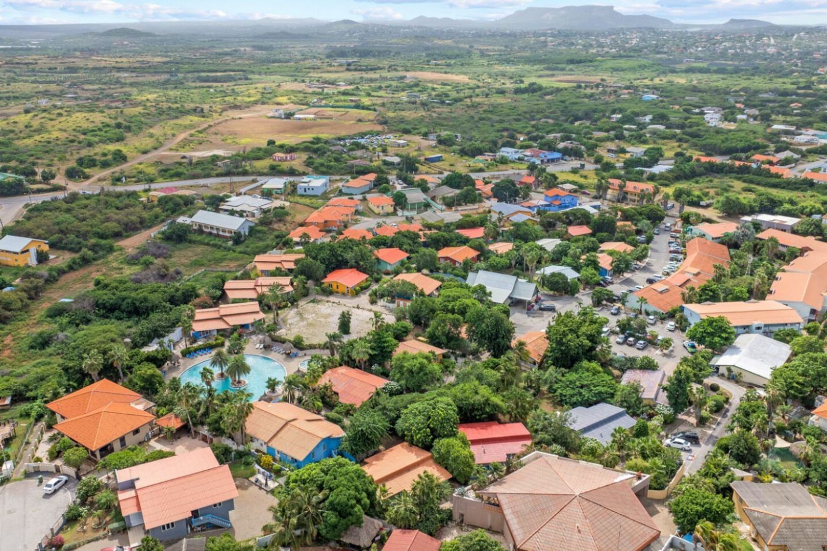 Seru Coral Rood, Koraal partier foto-26