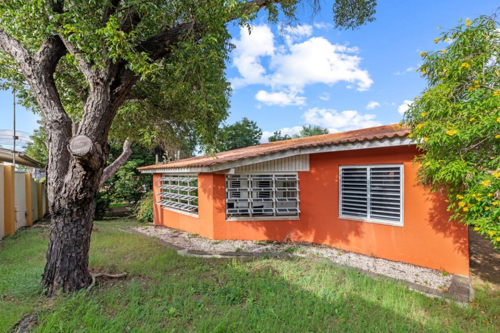 Seru Coral Rood, Koraal partier foto-3