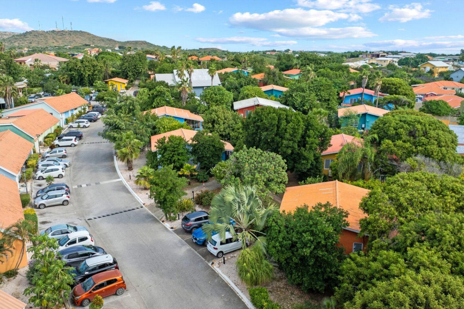 Seru Coral Rood, Koraal partier foto-1