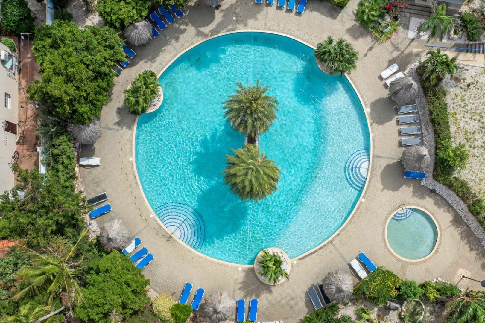 Seru Coral Rood, Koraal partier foto-24