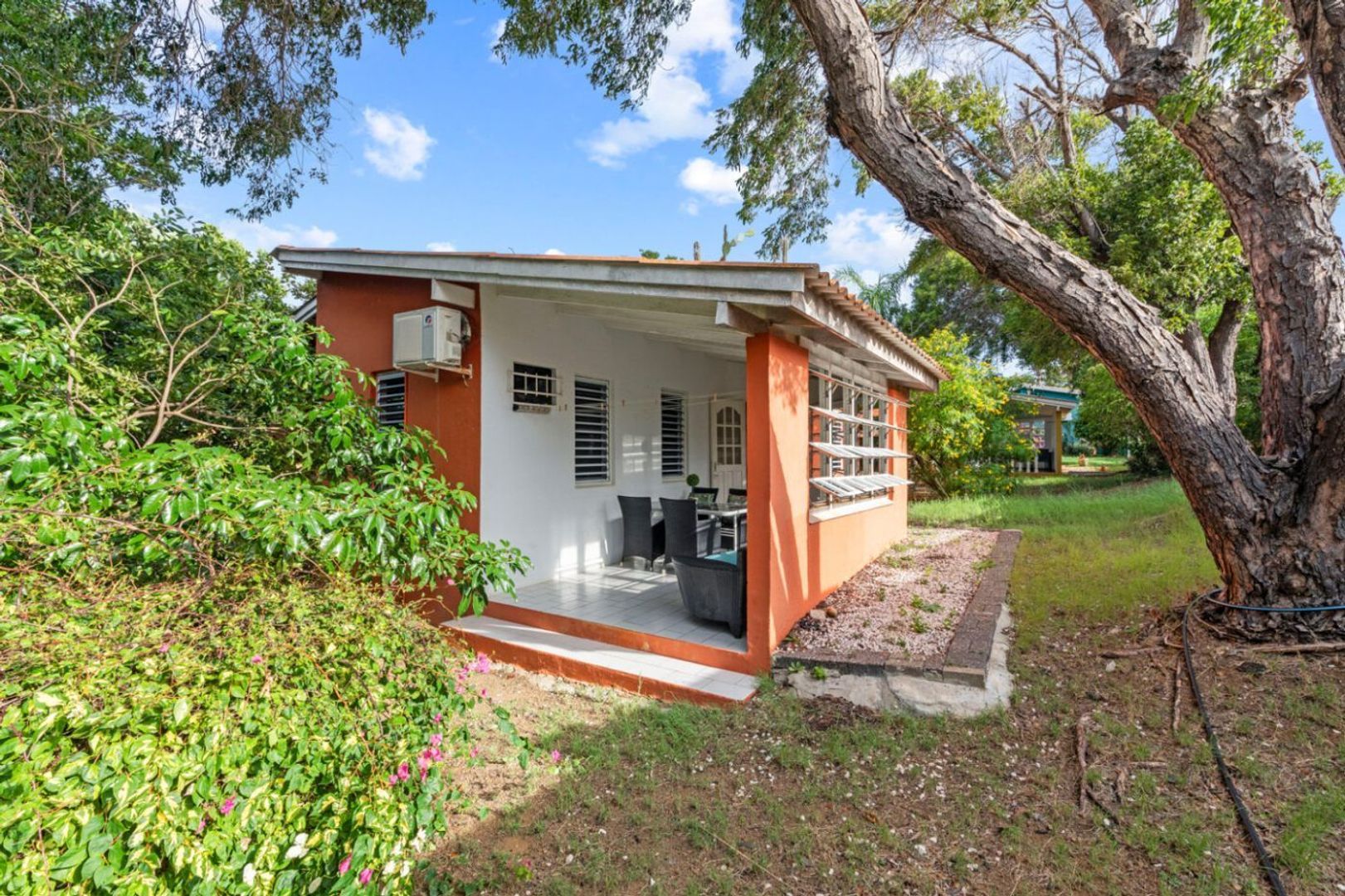 Seru Coral Rood, Koraal partier foto-2