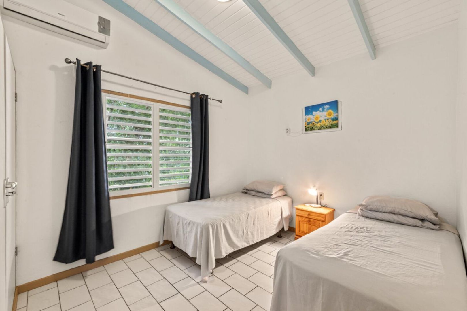 Seru Coral Rood, Koraal partier foto-15