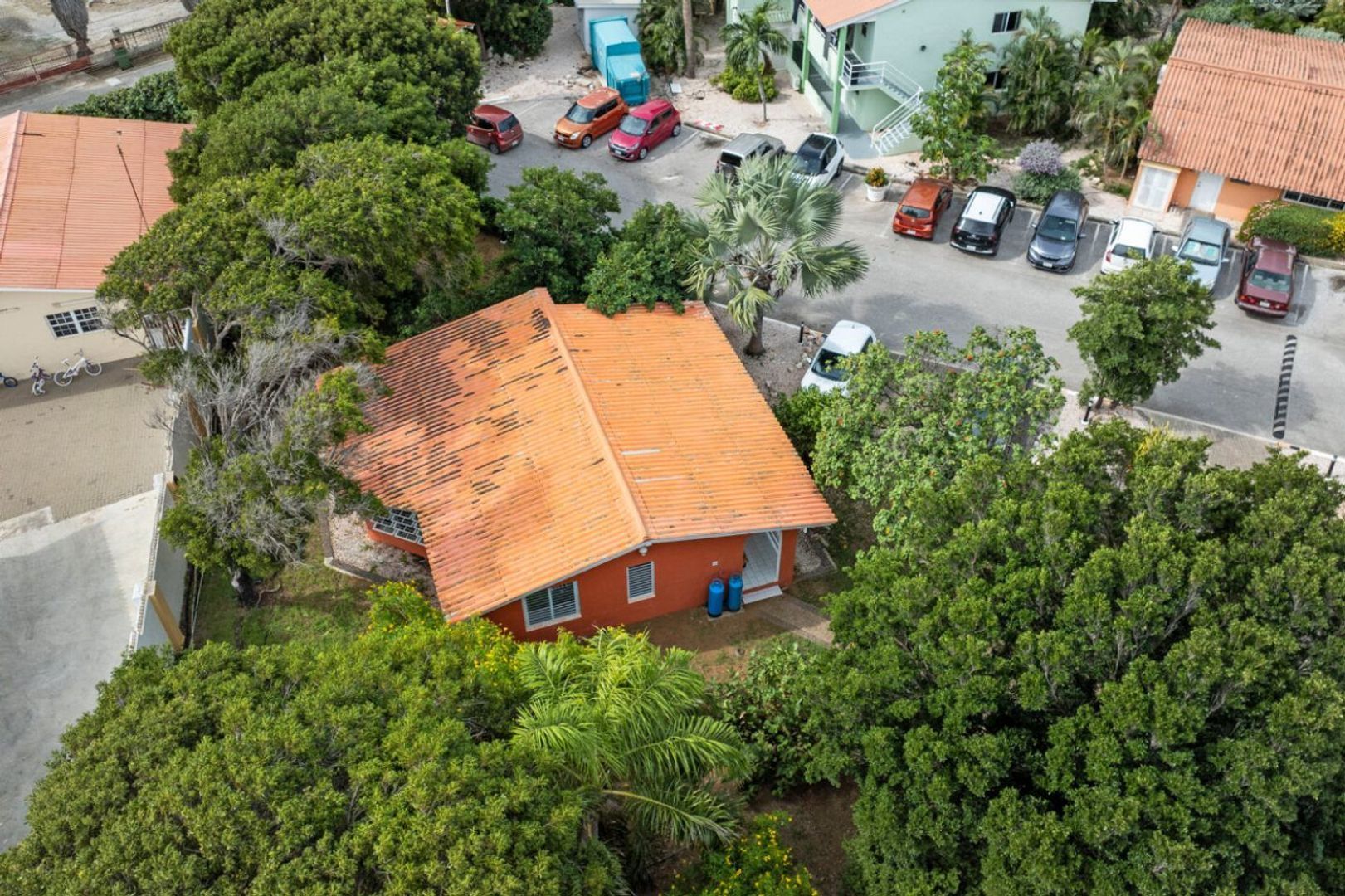 Seru Coral Rood, Koraal partier foto-28