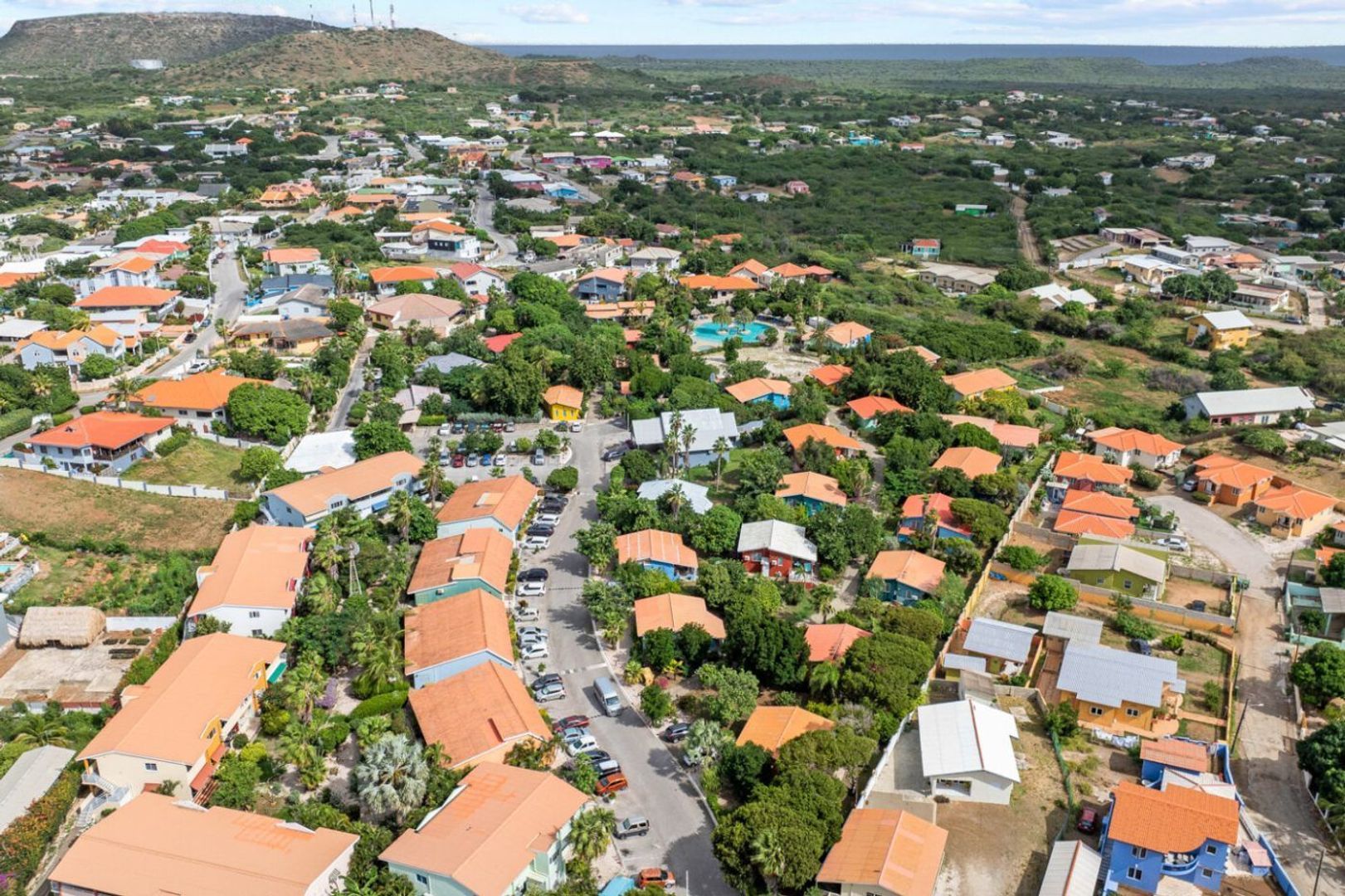 Seru Coral Rood, Koraal partier foto-25