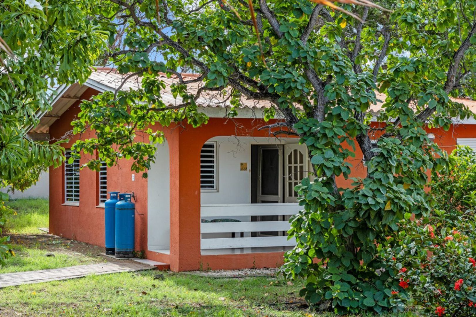 Seru Coral Rood, Koraal partier foto-23